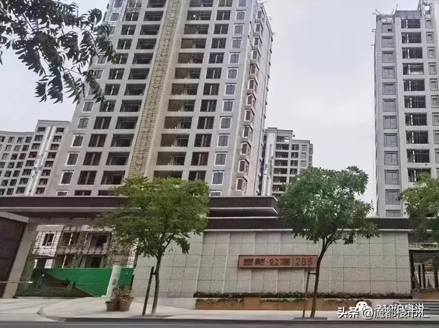 解析｜沪上新贵置业神地——徐汇滨江开云体育 开云官网(图17)