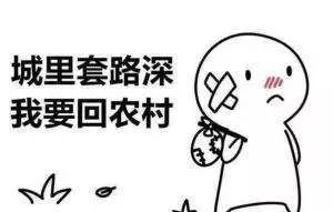 影视招聘骗局在北京：忍受欺诈开云体育 开云官网即是同谋(图6)