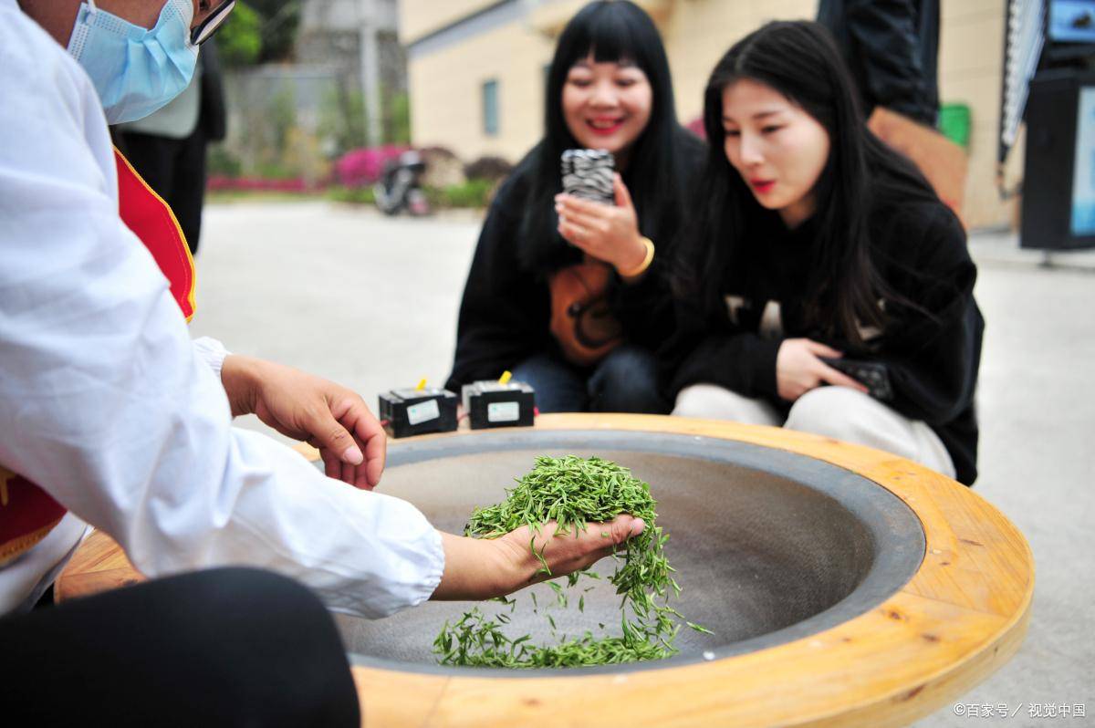 茶文化旅游节策划方案 宣传茶文化的魅力和促进茶产业发展(图4)
