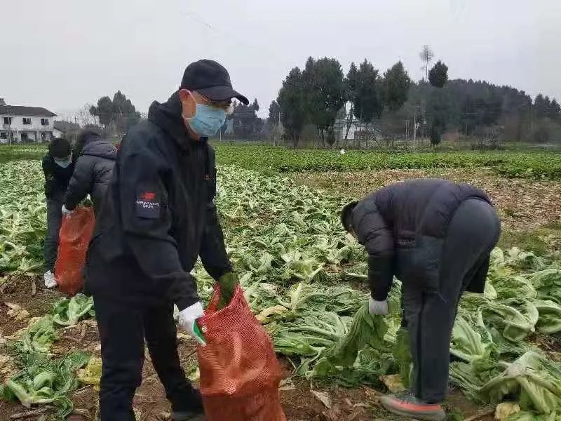 不忘初Kaiyun 开云心 驰援武汉 --民建绵阳、远华集团与武汉心连心(图6)