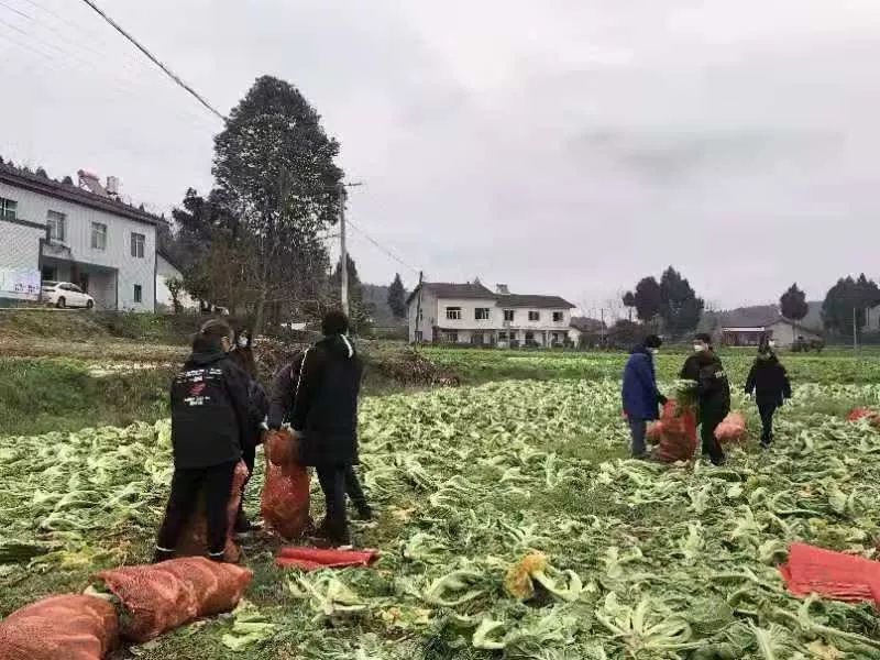不忘初Kaiyun 开云心 驰援武汉 --民建绵阳、远华集团与武汉心连心(图7)