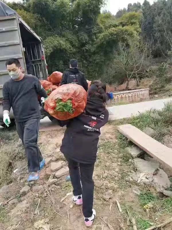 不忘初Kaiyun 开云心 驰援武汉 --民建绵阳、远华集团与武汉心连心(图8)