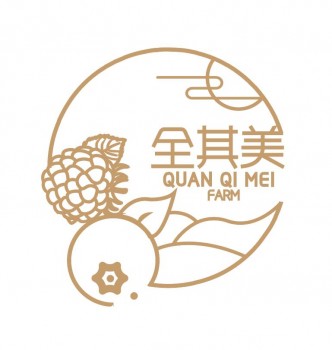 南京中世维尔文化传媒有限公司旗下品牌赞开云 开云体育平台扬设计服务(图4)